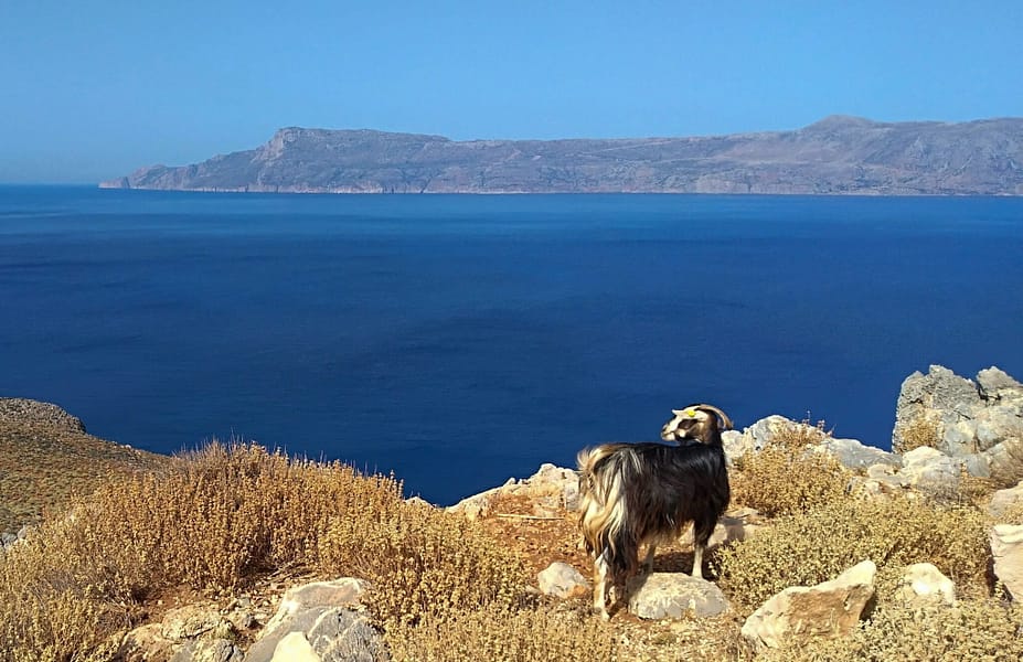 Kreta joga avantura_lepe plaže Kreta joga avantura_Yogesha