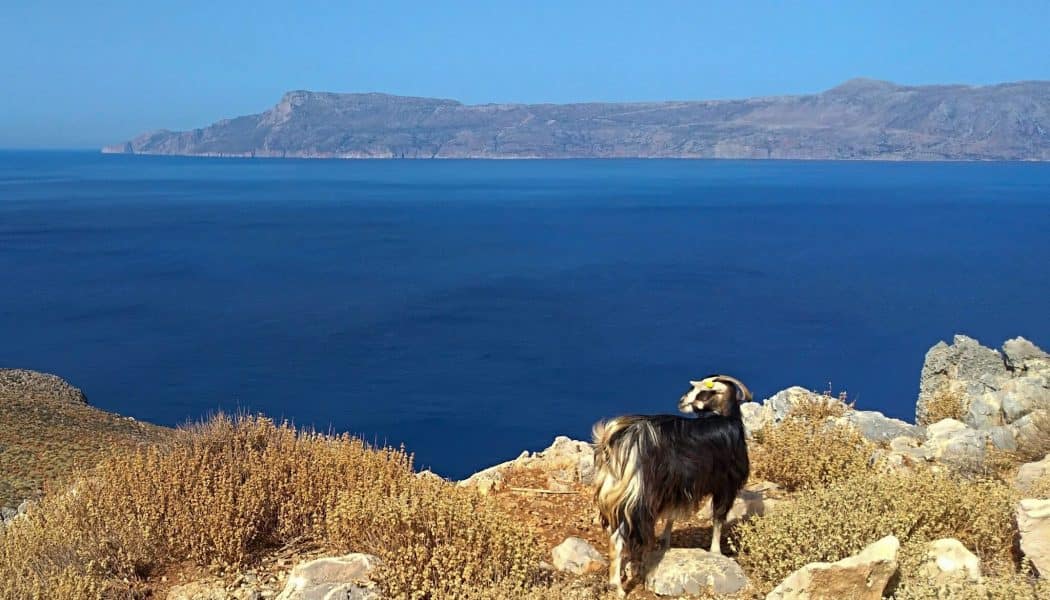Kreta joga avantura_lepe plaže Kreta joga avantura_Yogesha